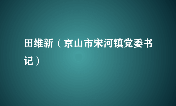 田维新（京山市宋河镇党委书记）