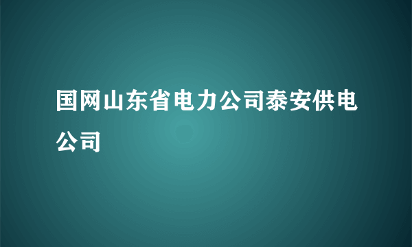 国网山东省电力公司泰安供电公司