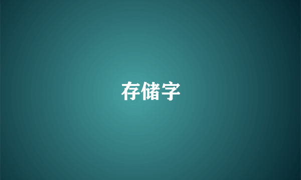 存储字