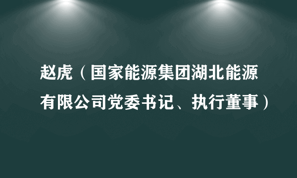 赵虎（国家能源集团湖北能源有限公司党委书记、执行董事）