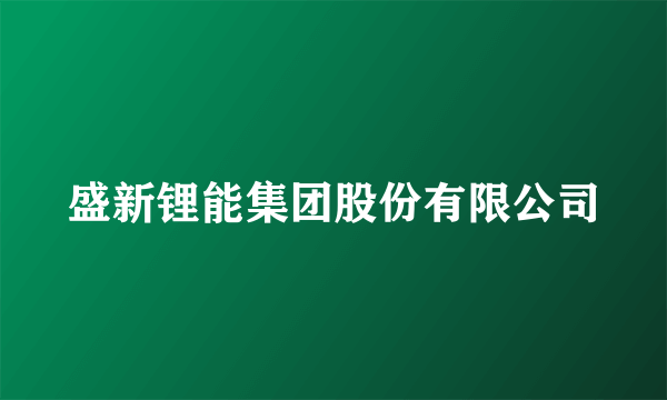 盛新锂能集团股份有限公司