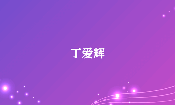 丁爱辉