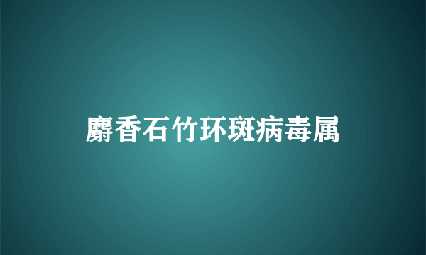 麝香石竹环斑病毒属