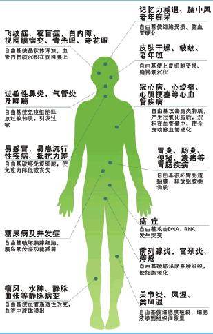 自由基学说