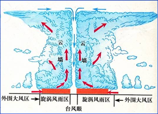 台风结构