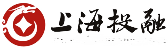 上海投融信息科技服务有限公司