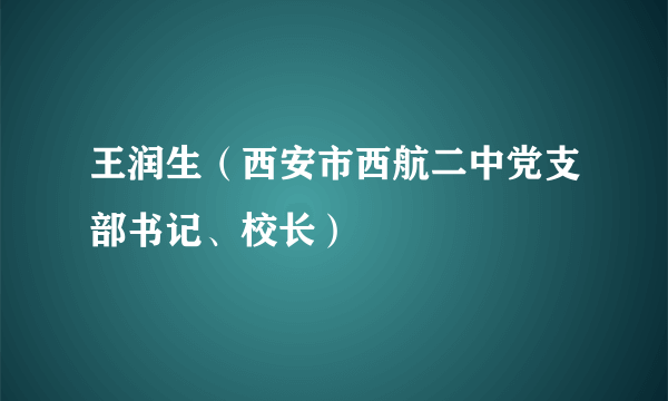 王润生（西安市西航二中党支部书记、校长）