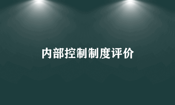 内部控制制度评价