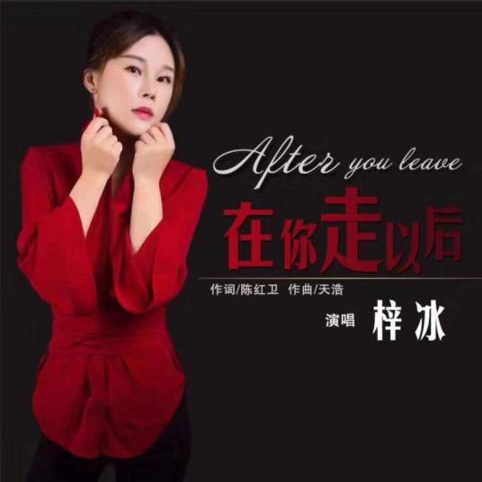 你走以后（梓冰演唱的歌曲）