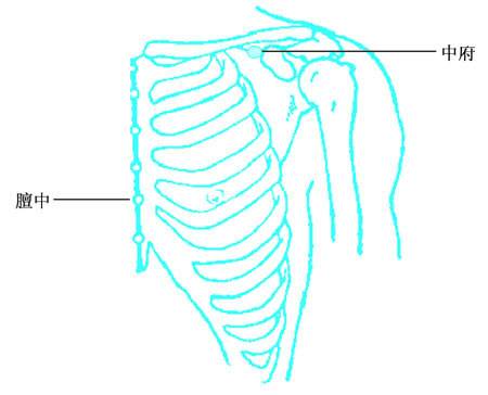 中府（人体腧穴）
