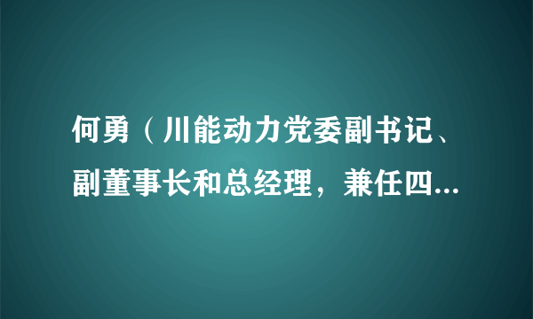 何勇（川能动力党委副书记、副董事长和总经理，兼任四川省能投风电开发有限公司党委书记、董事长）