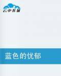 蓝色的忧郁（随风有伴创作的网络小说作品）