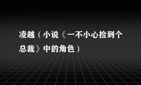 凌越（小说《一不小心捡到个总裁》中的角色）