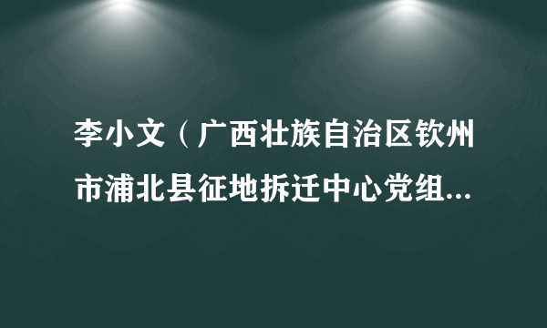 李小文（广西壮族自治区钦州市浦北县征地拆迁中心党组成员、副主任）