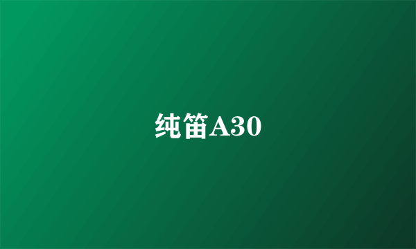 纯笛A30