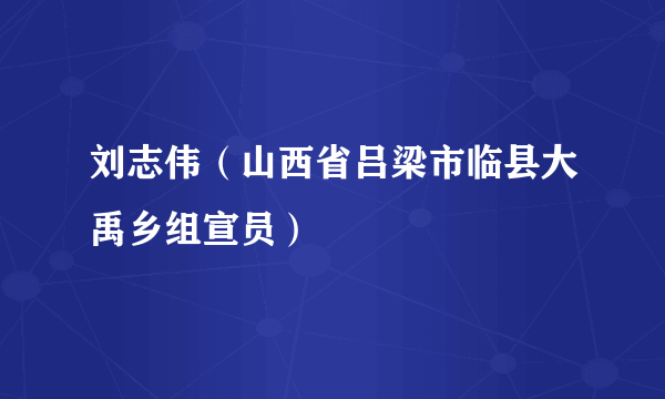 刘志伟（山西省吕梁市临县大禹乡组宣员）