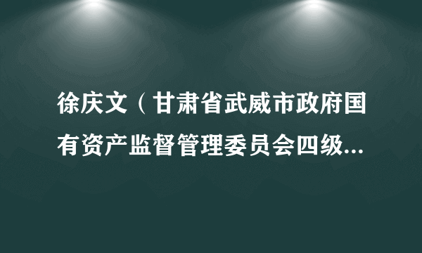 徐庆文（甘肃省武威市政府国有资产监督管理委员会四级调研员）