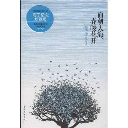 面朝大海，春暖花开（2008年长江文艺出版社出版的图书）