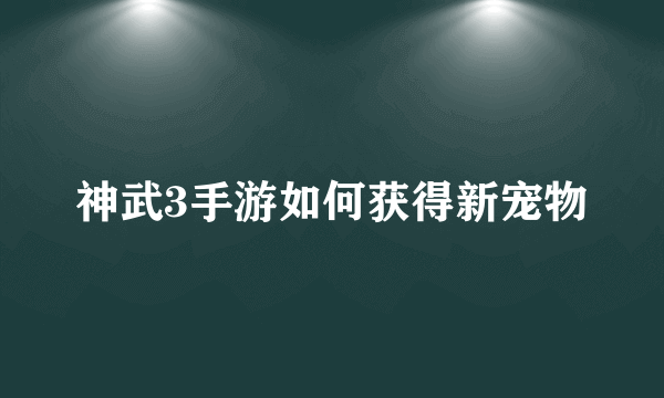 神武3手游如何获得新宠物