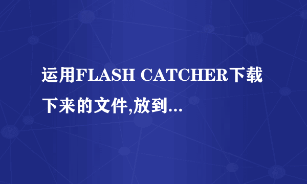 运用FLASH CATCHER下载下来的文件,放到FLASH里面为什么是一个图层？我想在继续编辑谁有办法啊！谢谢啦！