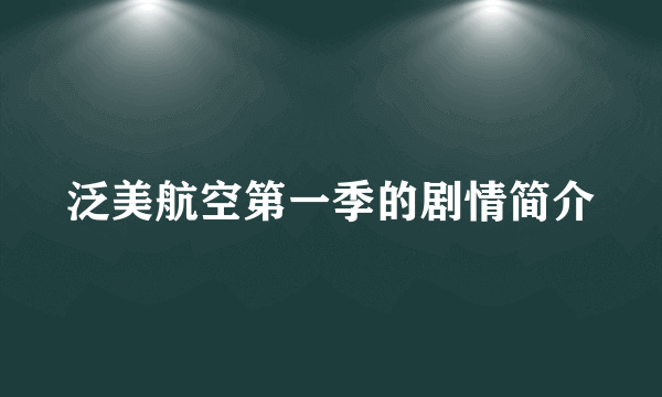 泛美航空第一季的剧情简介