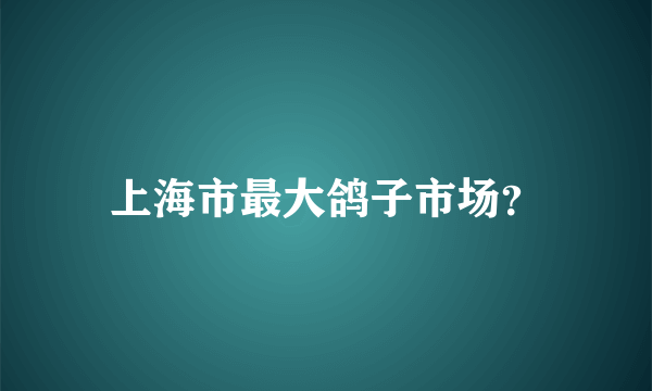 上海市最大鸽子市场？