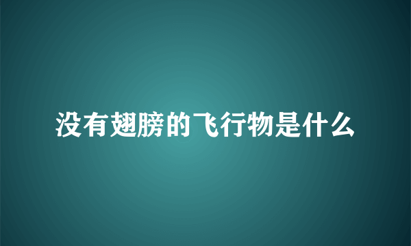 没有翅膀的飞行物是什么