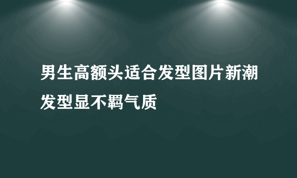 男生高额头适合发型图片新潮发型显不羁气质