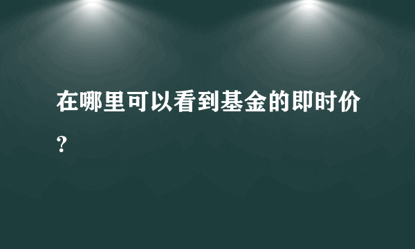 在哪里可以看到基金的即时价？