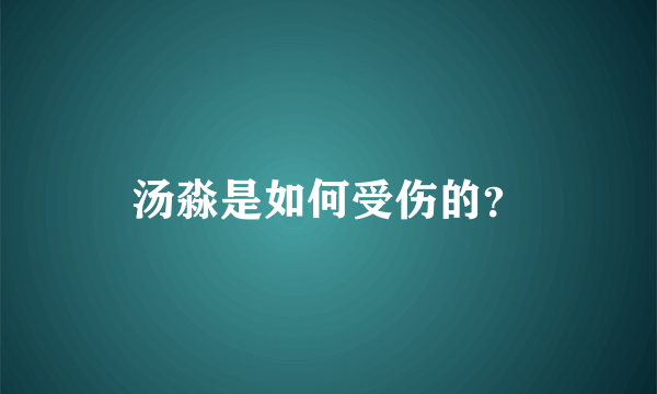 汤淼是如何受伤的？