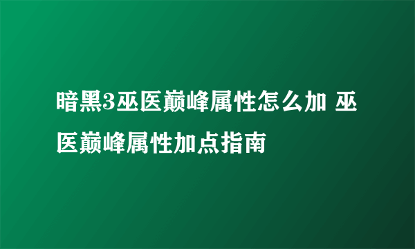 暗黑3巫医巅峰属性怎么加 巫医巅峰属性加点指南