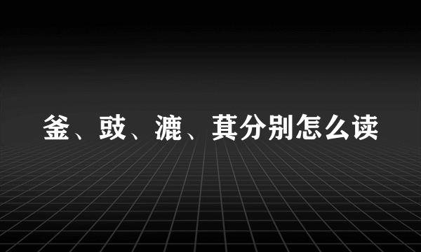 釜、豉、漉、萁分别怎么读