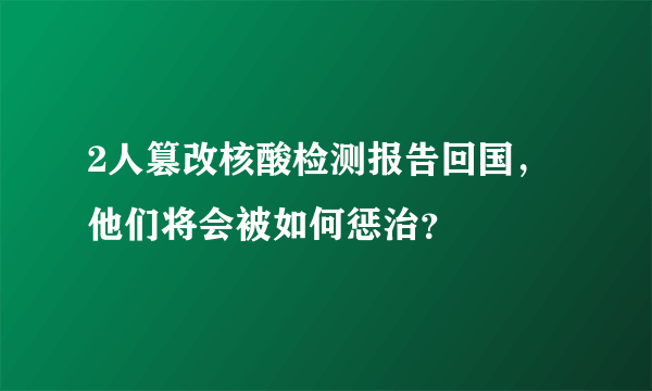 2人篡改核酸检测报告回国，他们将会被如何惩治？