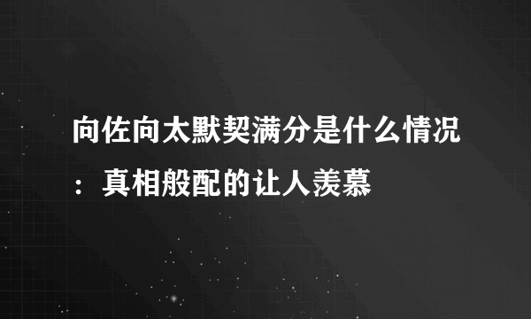 向佐向太默契满分是什么情况：真相般配的让人羡慕