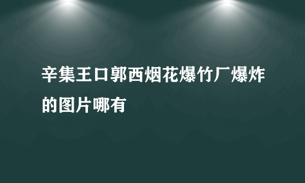 辛集王口郭西烟花爆竹厂爆炸的图片哪有