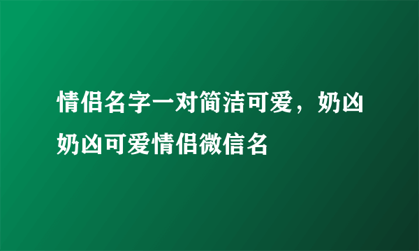 情侣名字一对简洁可爱，奶凶奶凶可爱情侣微信名