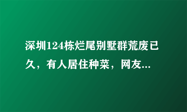 深圳124栋烂尾别墅群荒废已久，有人居住种菜，网友众说纷纭，你怎么看？