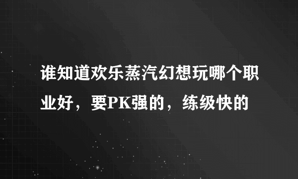 谁知道欢乐蒸汽幻想玩哪个职业好，要PK强的，练级快的