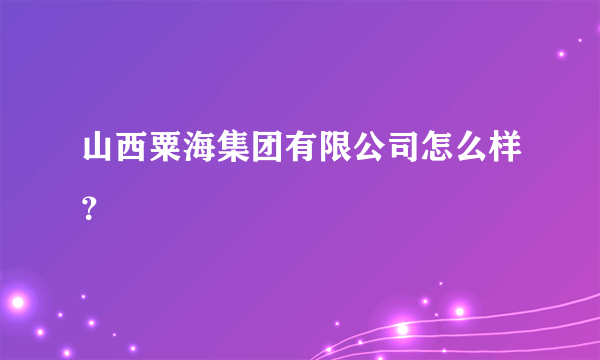 山西粟海集团有限公司怎么样？