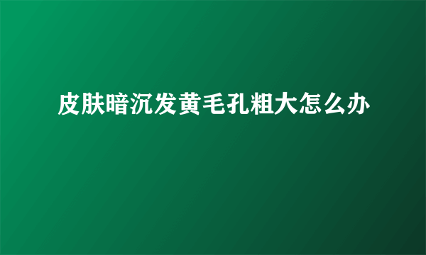 皮肤暗沉发黄毛孔粗大怎么办