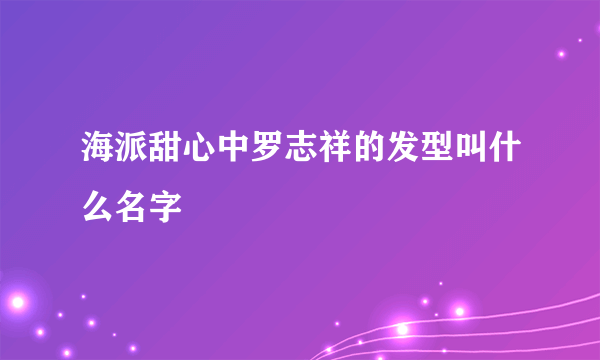 海派甜心中罗志祥的发型叫什么名字