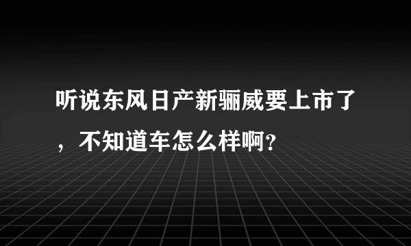 听说东风日产新骊威要上市了，不知道车怎么样啊？