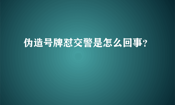 伪造号牌怼交警是怎么回事？