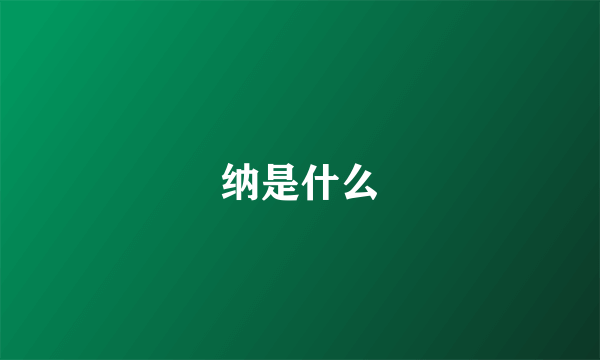 纳是什么