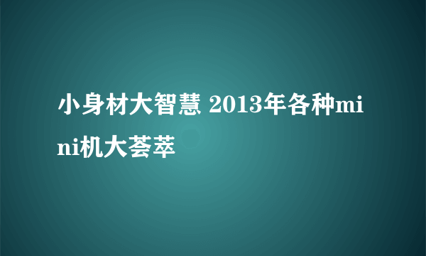 小身材大智慧 2013年各种mini机大荟萃