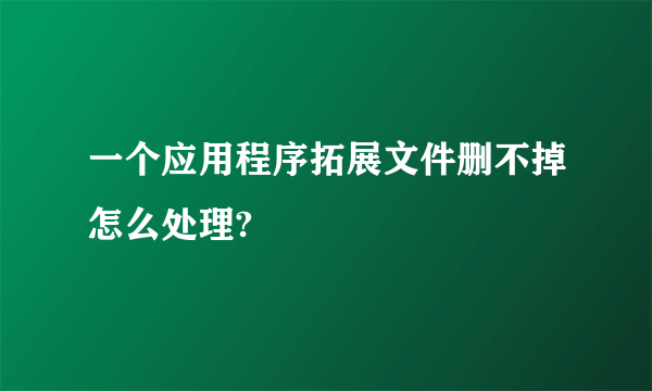 一个应用程序拓展文件删不掉怎么处理?