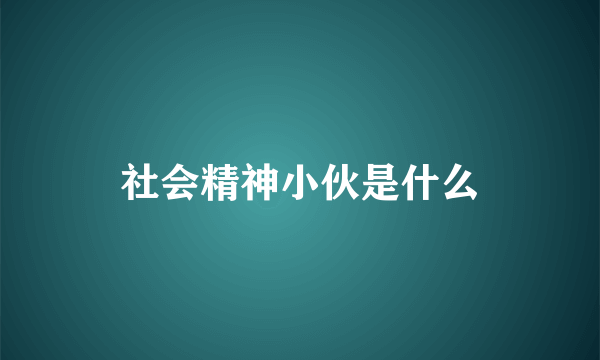 社会精神小伙是什么