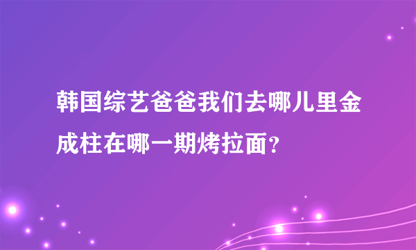 韩国综艺爸爸我们去哪儿里金成柱在哪一期烤拉面？