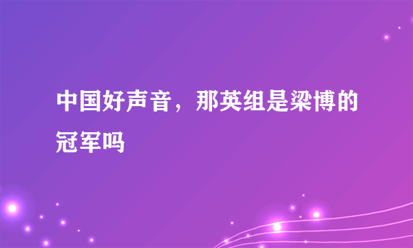 中国好声音，那英组是梁博的冠军吗