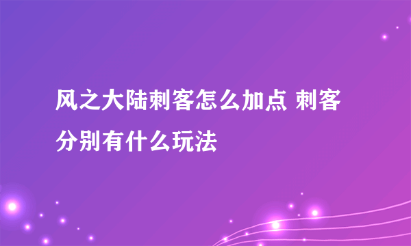 风之大陆刺客怎么加点 刺客分别有什么玩法